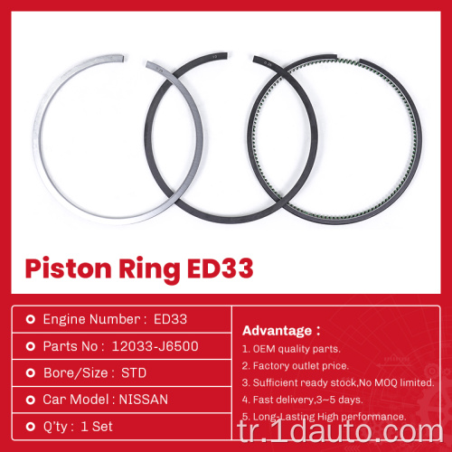 Nissan Motor ED33 Piston Halkaları Seti 12033-J6500